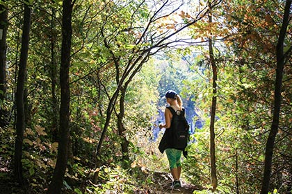 activite-seminaire-team building-strasbourg-accrobranche-cohésion de groupe-séminaireincentive entreprise-ludique-sportif et convivial-parcours dans les arbres- Starsboirg